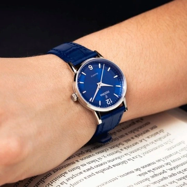 Festina Classics 20691/4