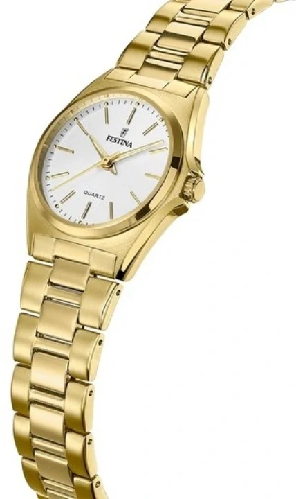 Festina Classics 20557/2