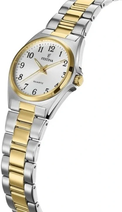 Festina Classics 20556/1