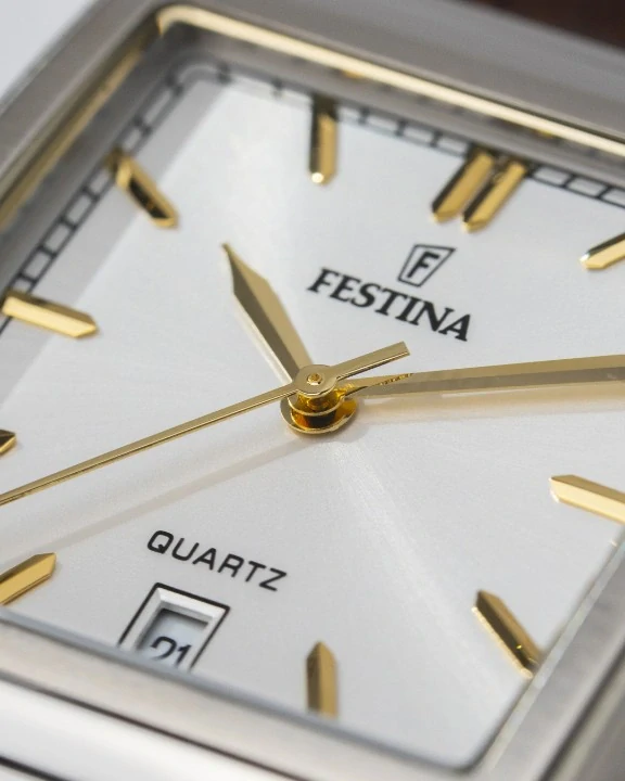 Festina Classics 20681/4